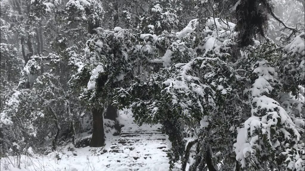 Snowfall on Shivapuri Hiking Trail, Kahtmandu