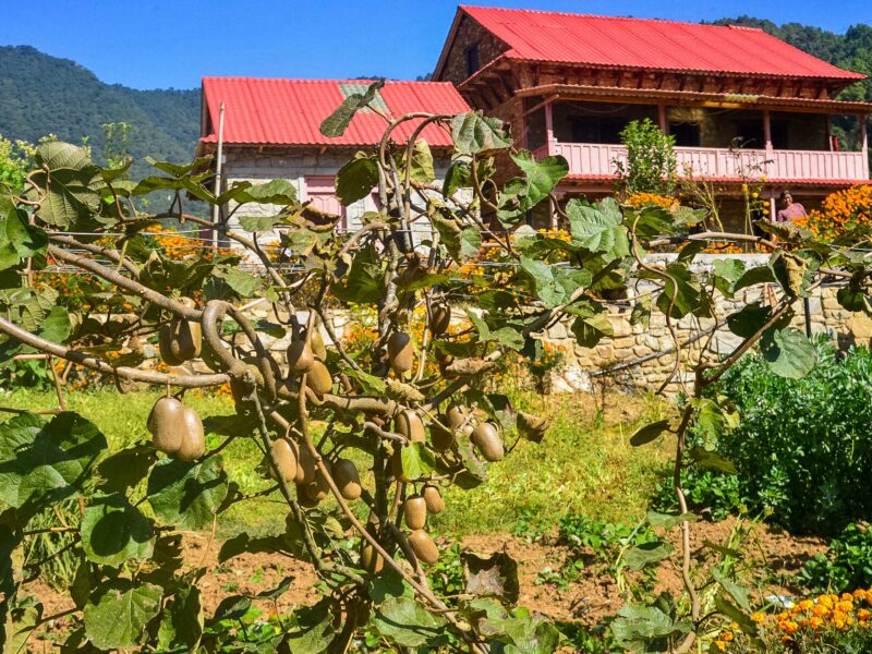 Aama Integrated Farmstay, Chitlang