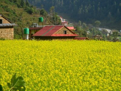 Aama Integrated Farmstay, Chitlang