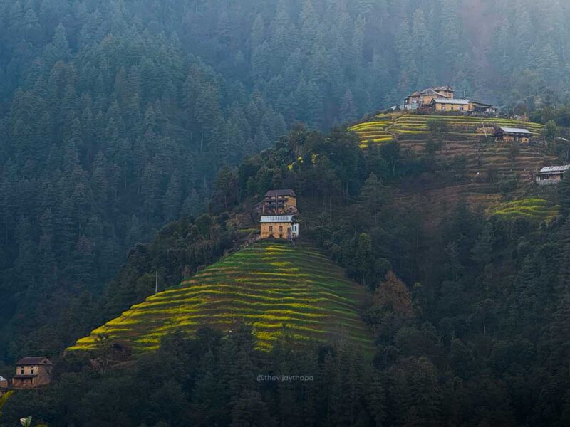 Bethanchowk Village Community Homestay